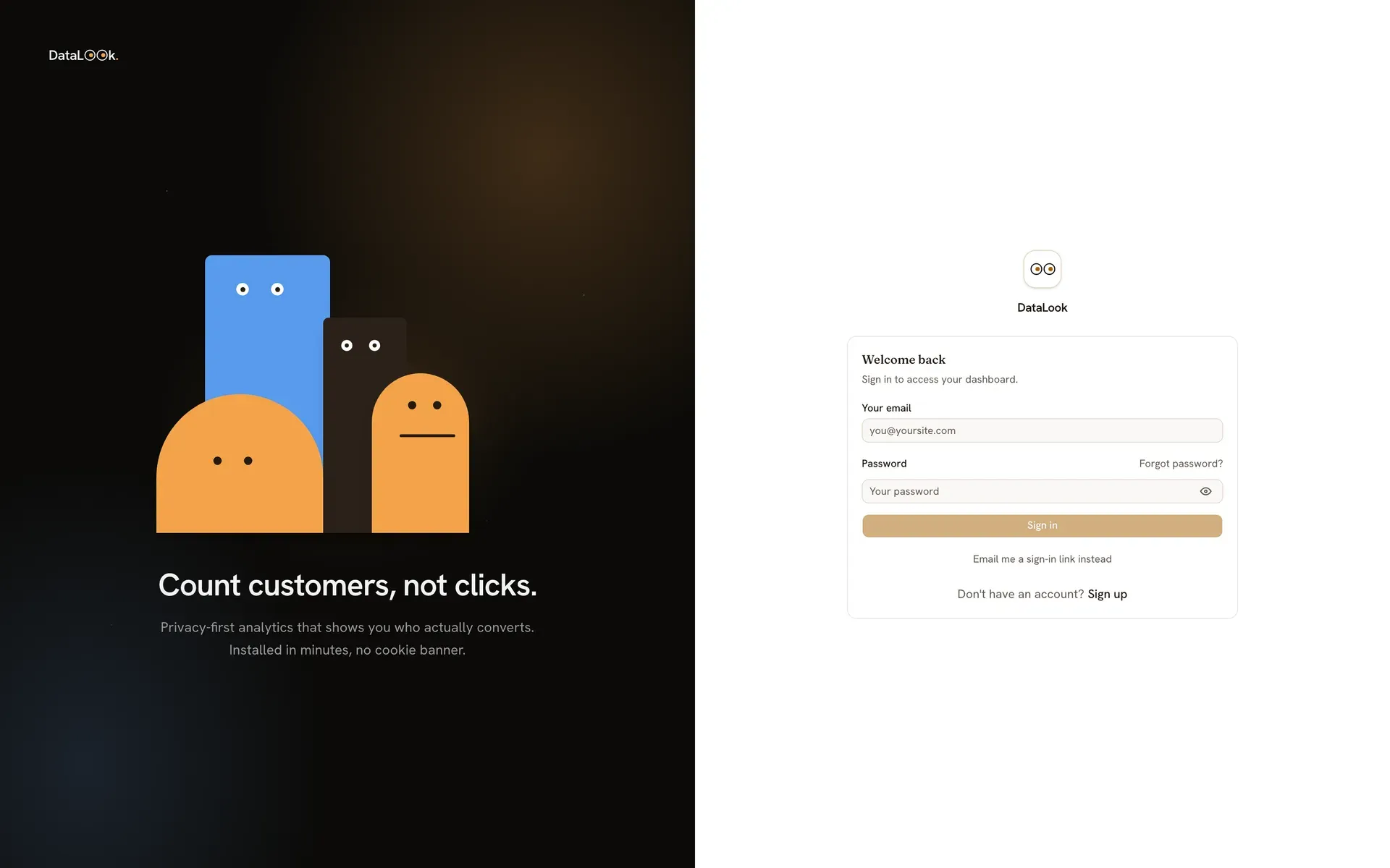 DataLook — Sign-in on Better-Auth, offering both magic link and email + password.